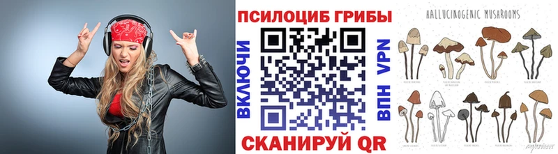 Псилоцибиновые грибы MAGIC MUSHROOMS  Севск 